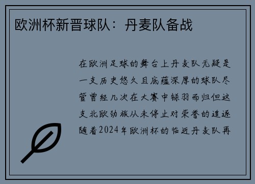 欧洲杯新晋球队：丹麦队备战
