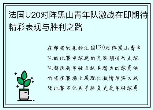 法国U20对阵黑山青年队激战在即期待精彩表现与胜利之路