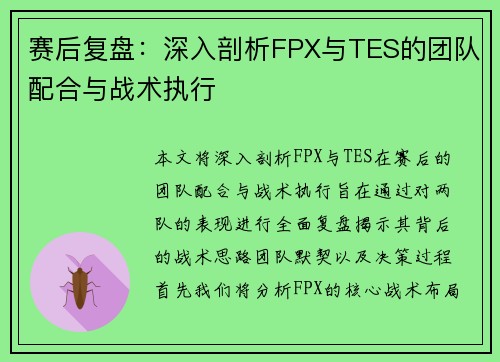 赛后复盘：深入剖析FPX与TES的团队配合与战术执行